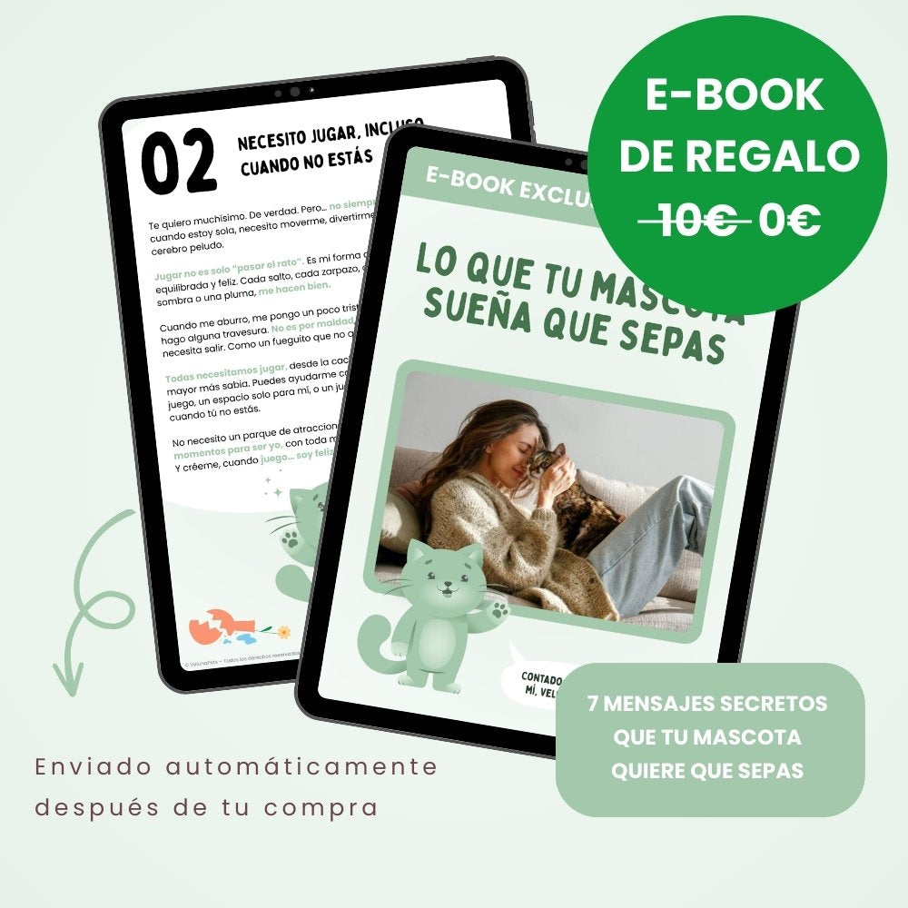 SPIRAGATO – Tiragraffi interattivo per gatti