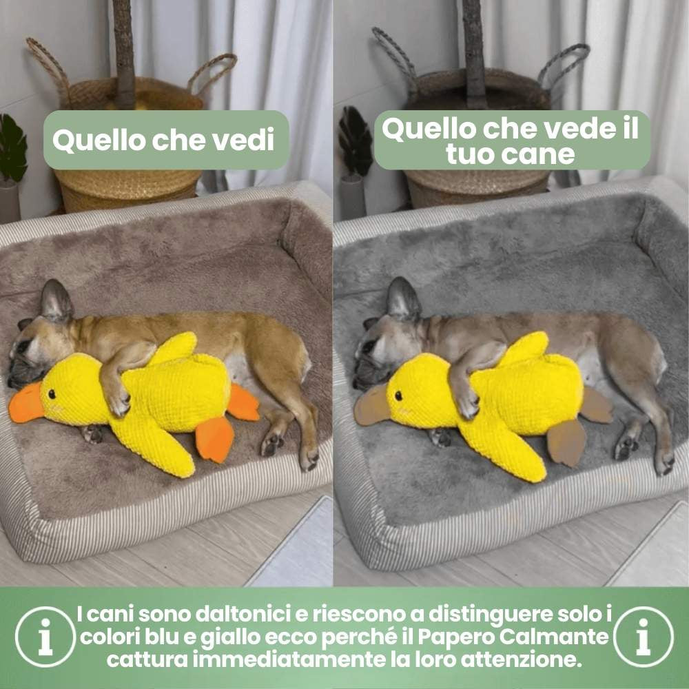 Giocattolo Papero Calmante di Veluna