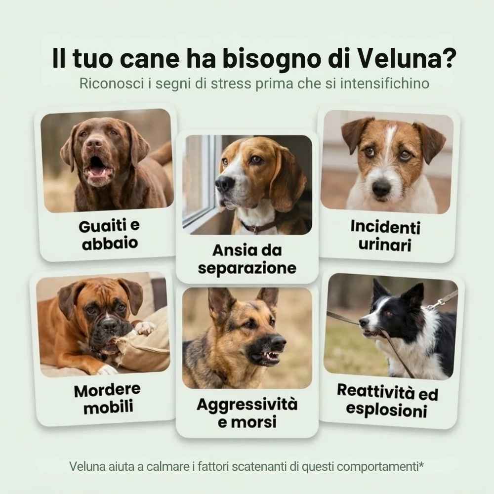 Diffusore di Feromoni Veluna per Alleviare l’Ansia nei Cani