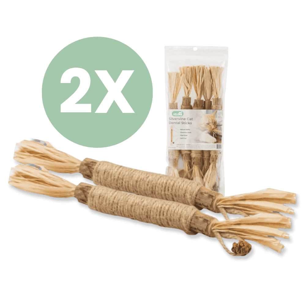 DentaSticks - Silvervine Dentais Sticks per gatti