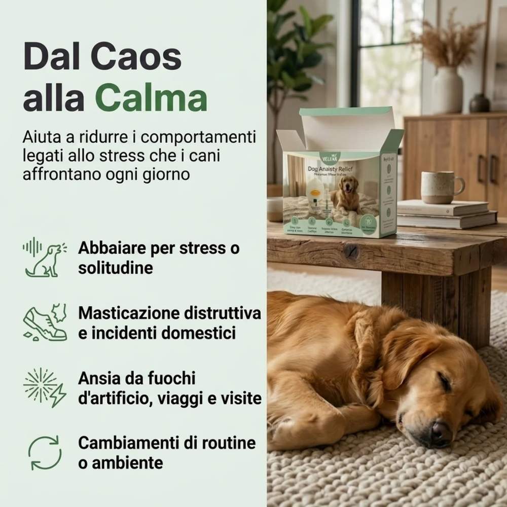 Diffusore di Feromoni Veluna per Alleviare l’Ansia nei Cani