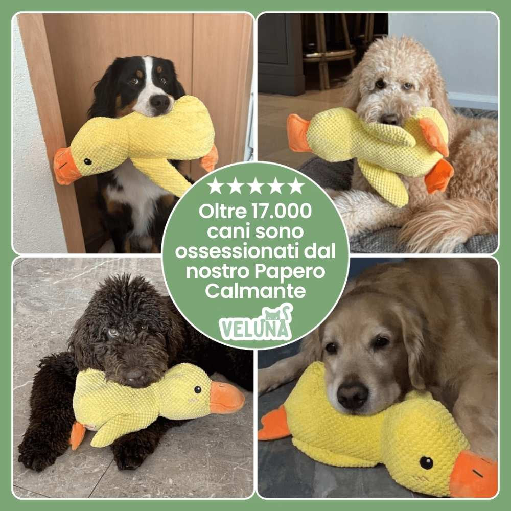 Giocattolo Papero Calmante di Veluna