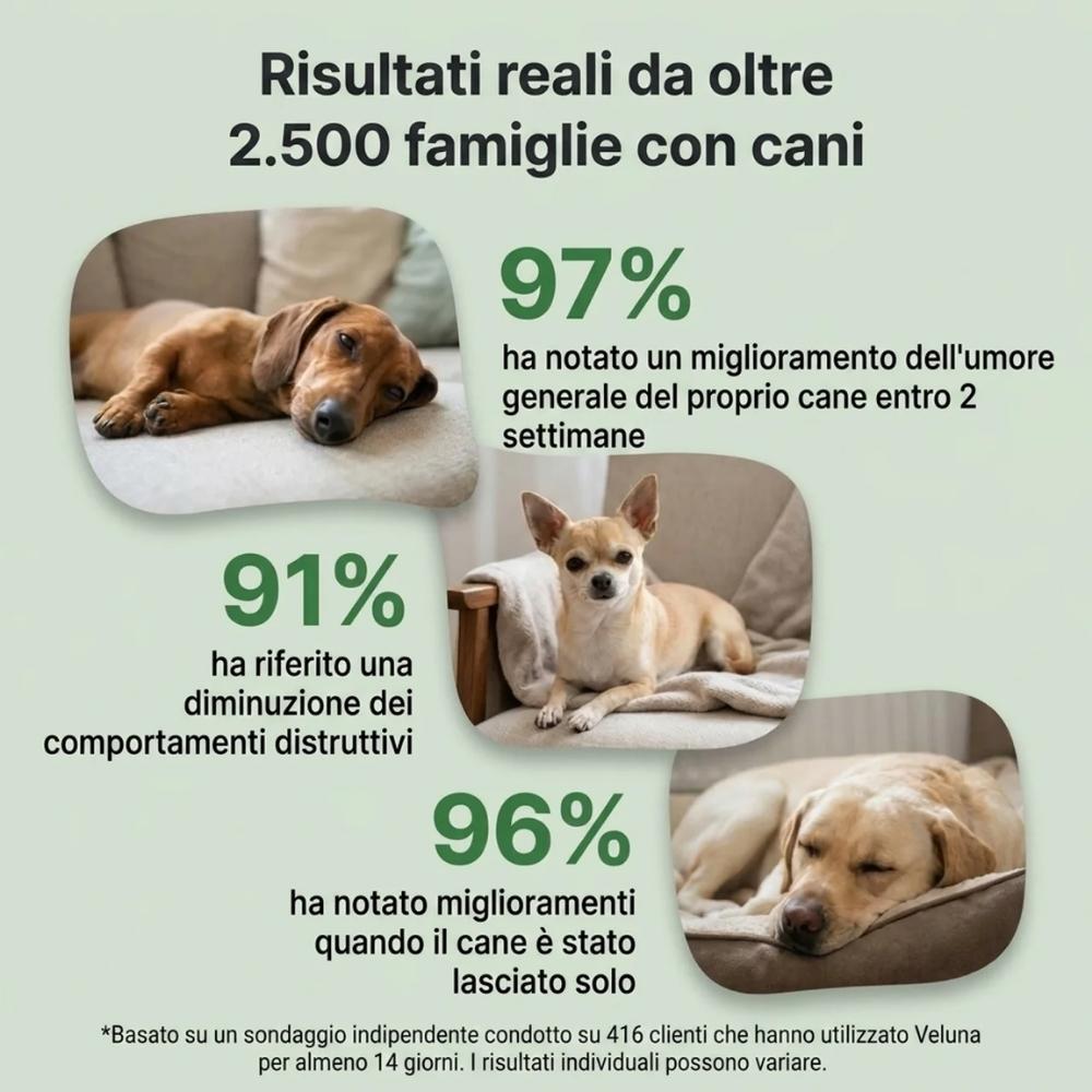 Diffusore di Feromoni Veluna per Alleviare l’Ansia nei Cani