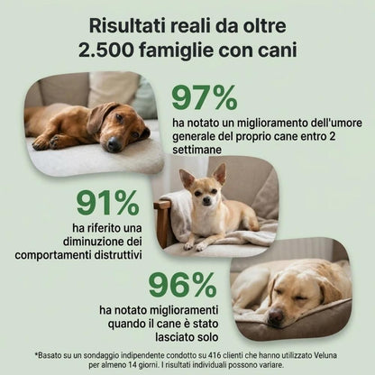Diffusore di Feromoni Veluna per Alleviare l’Ansia nei Cani