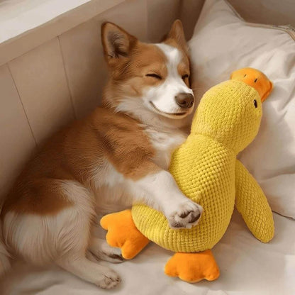 Giocattolo Papero Calmante di Veluna