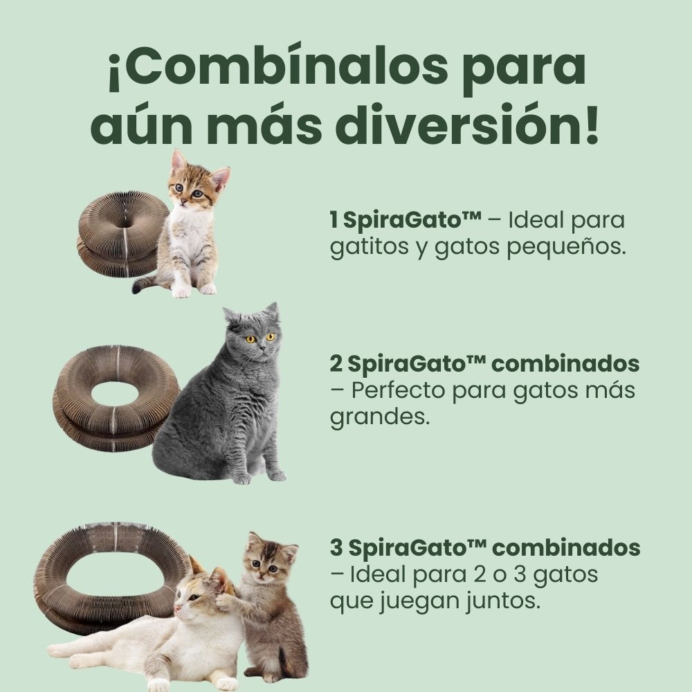 SPIRAGAT - UPSELL
