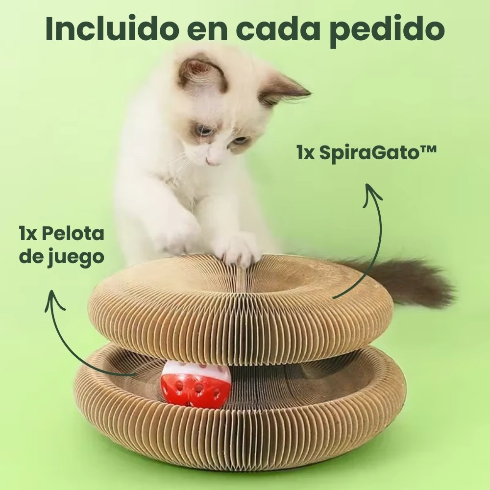 SPIRAGAT - UPSELL