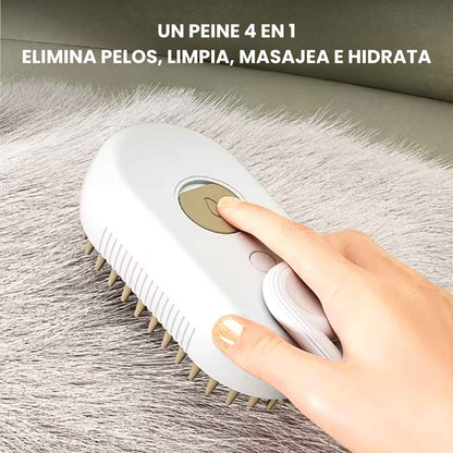 Vendita aggiuntiva di spazzole a vapore