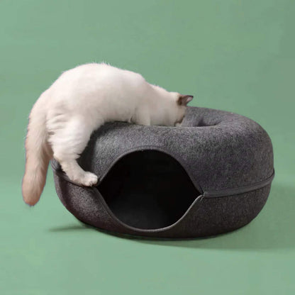 Rifugio accogliente e tunnel gioco per i tuoi gatti