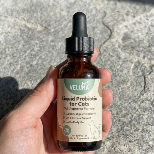 Veluna Probiotico liquido avanzato per gatti