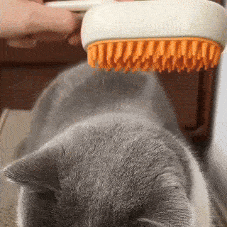 Spazzola a Vapore Multifunzione 4 in 1 per Gatti