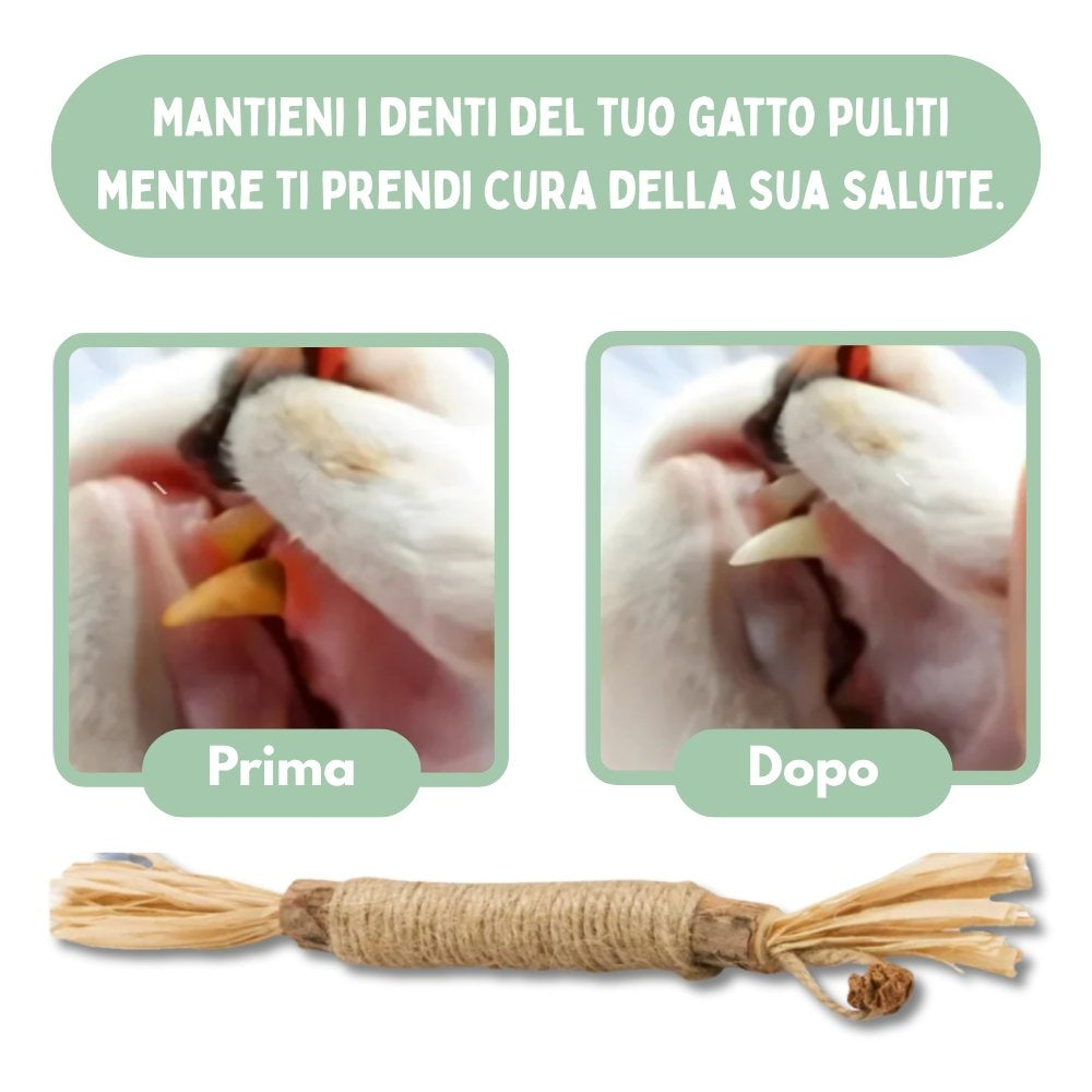 DentaSticks - Silvervine Dentais Sticks per gatti