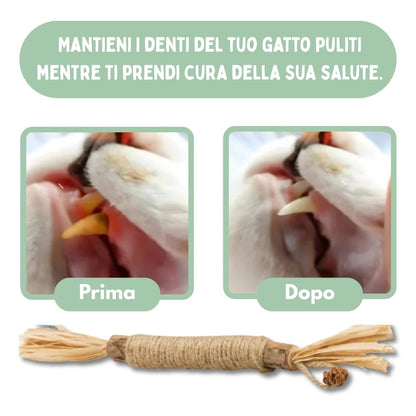 DentaSticks - Silvervine Dentais Sticks per gatti