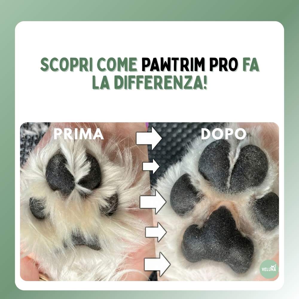 PawTrim Pro – Cura delle Zampe Senza Dolore in Pochi Secondi