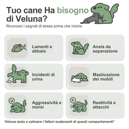 Diffusore di Feromoni Veluna per Alleviare l’Ansia nei Cani