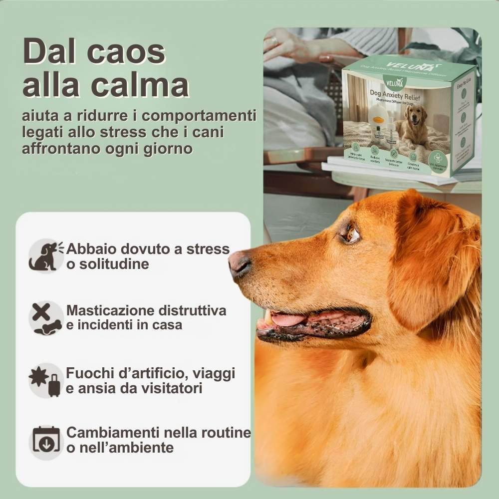 Diffusore di Feromoni Veluna per Alleviare l’Ansia nei Cani