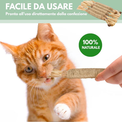 DentaSticks - Silvervine Dentais Sticks per gatti