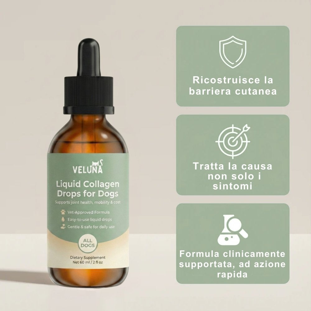 Collagene Liquido Premium Veluna per Cani