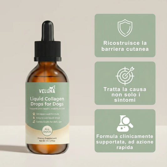 Collagene Liquido Premium Veluna per Cani