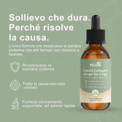 Collagene Liquido Premium Veluna per Cani