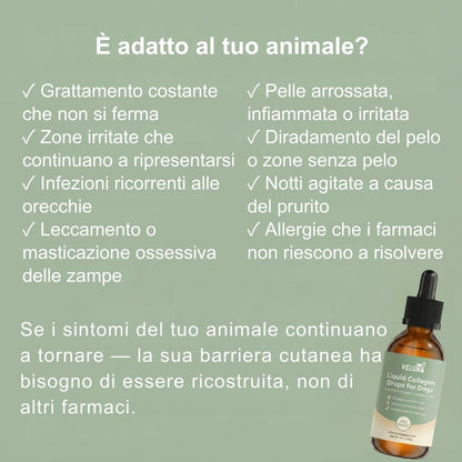 Collagene Liquido Premium Veluna per Cani
