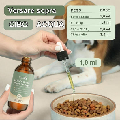 Collagene Liquido Premium Veluna per Cani