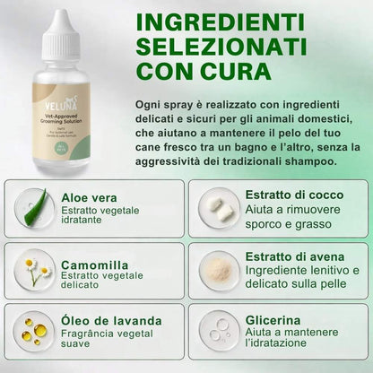 Veluna FreshBrush – Con spray detergente