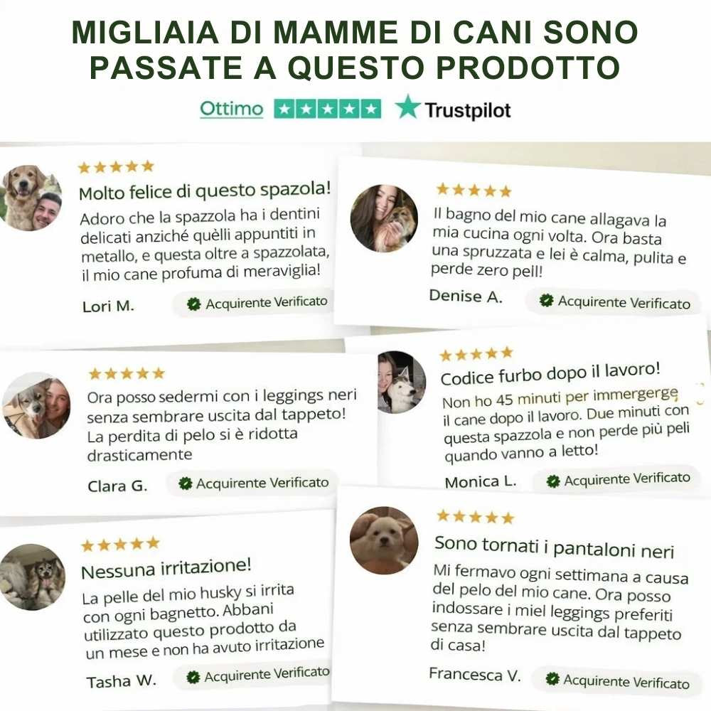 Veluna FreshBrush – Con spray detergente