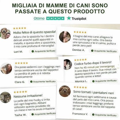 Veluna FreshBrush – Con spray detergente