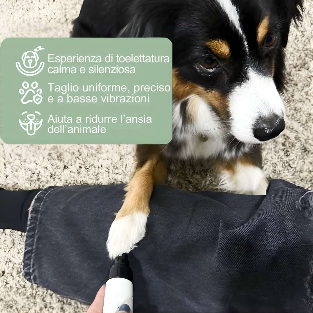 Veluna Silent Groom Pro – Silenzioso, Senza Stress, Direttamente a Casa