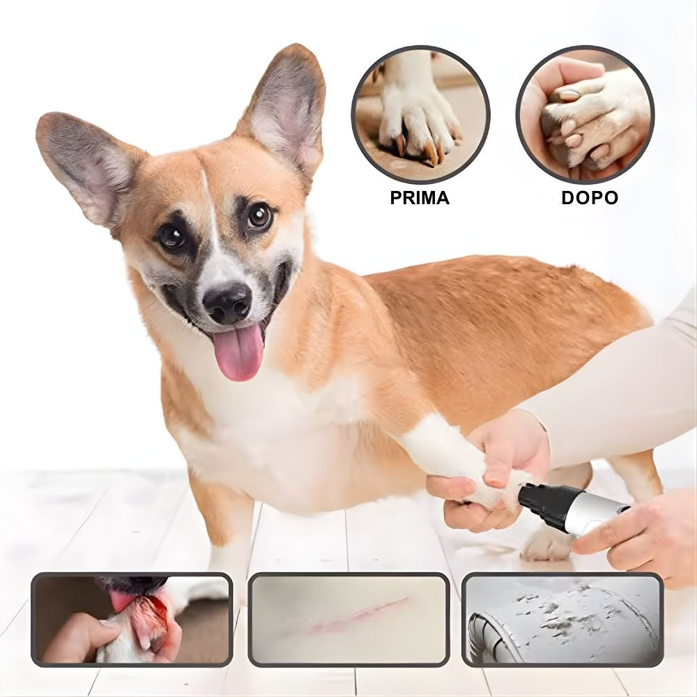 Veluna Silent Groom Pro – Silenzioso, Senza Stress, Direttamente a Casa