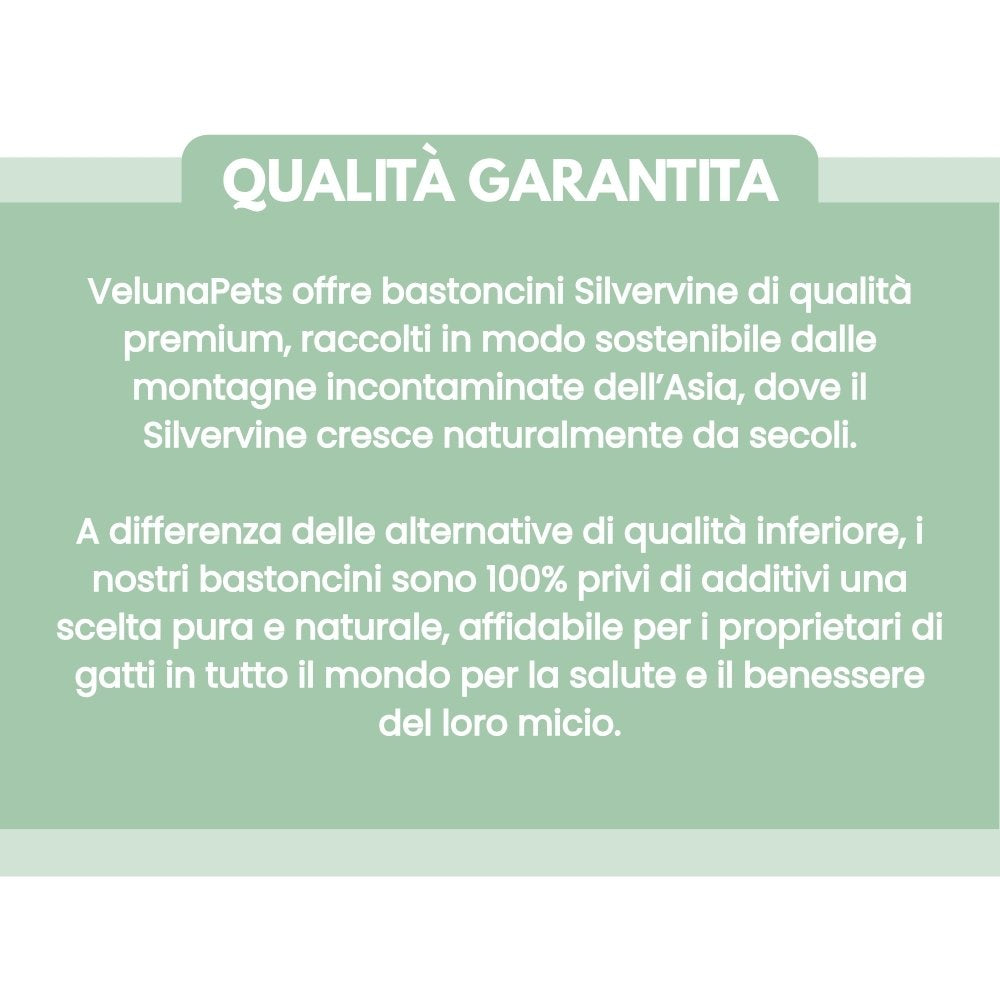DentaSticks - Silvervine Dentais Sticks per gatti