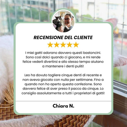 DentaSticks - Silvervine Dentais Sticks per gatti