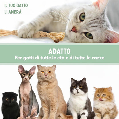 DentaSticks - Silvervine Dentais Sticks per gatti