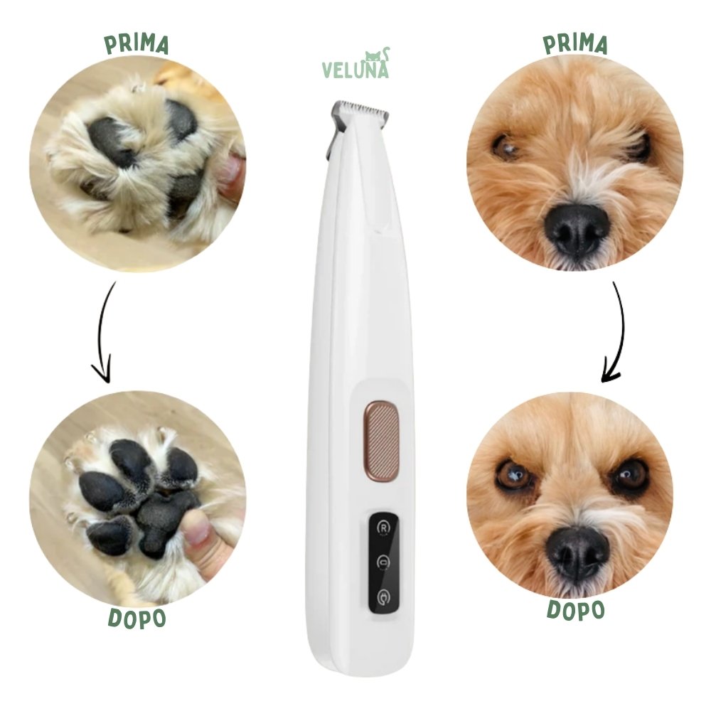 PawTrim Pro – Cura delle Zampe Senza Dolore in Pochi Secondi