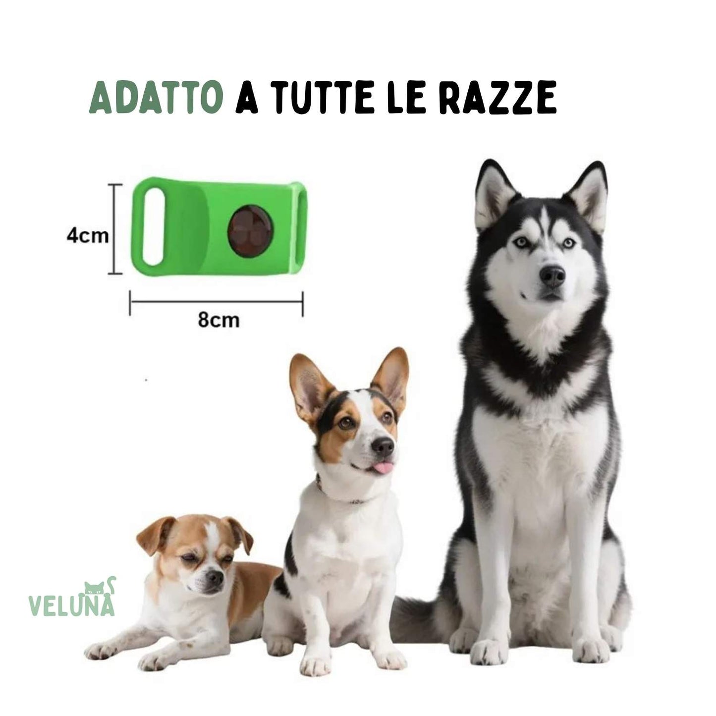 Collare Veluna – Antipulci (Protezione fino a 12 Mesi)