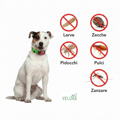 Collare Veluna – Antipulci (Protezione fino a 12 Mesi)