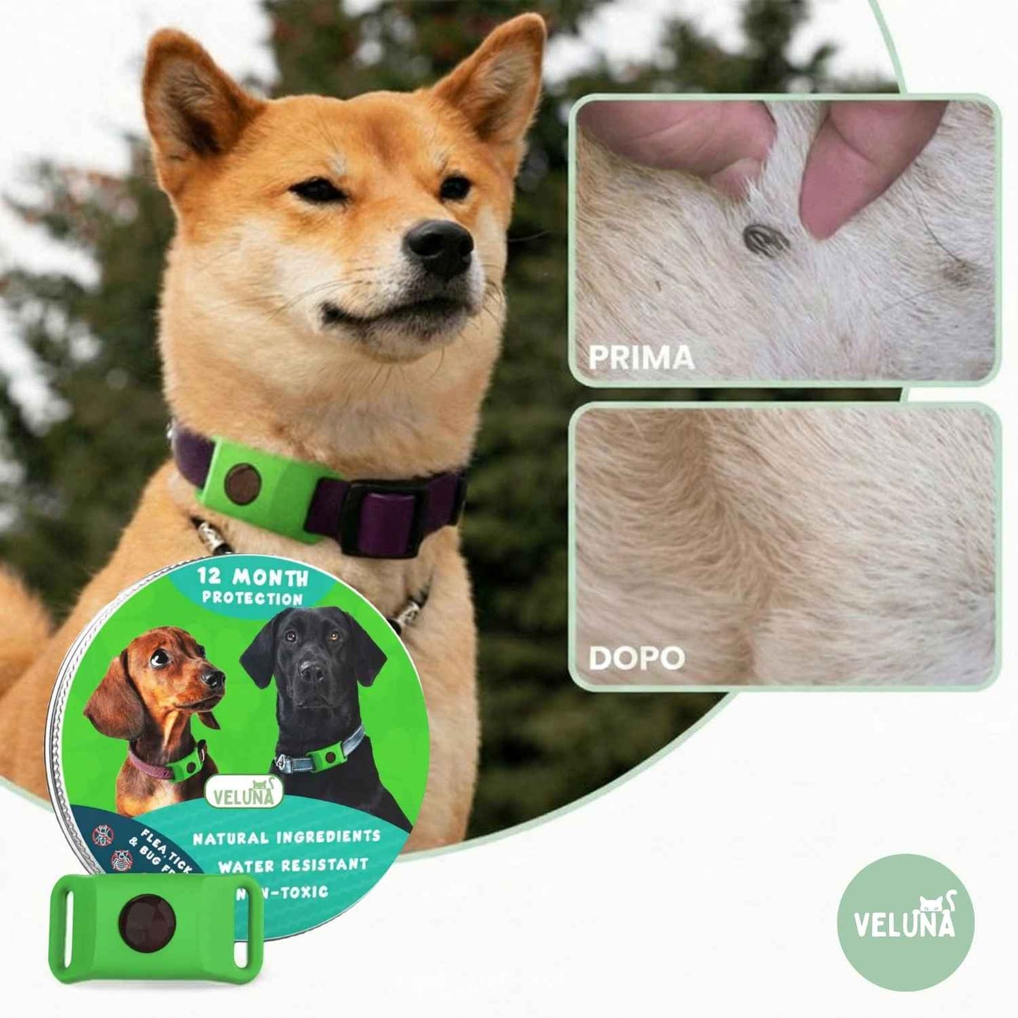 Collare Veluna – Antipulci (Protezione fino a 12 Mesi)