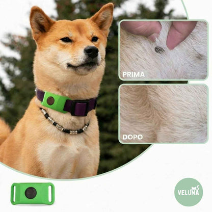 Collare Veluna – Antipulci (Protezione fino a 12 Mesi)