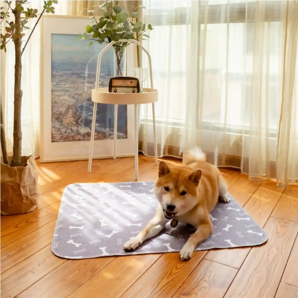 Veluna PuppyPad per Cani