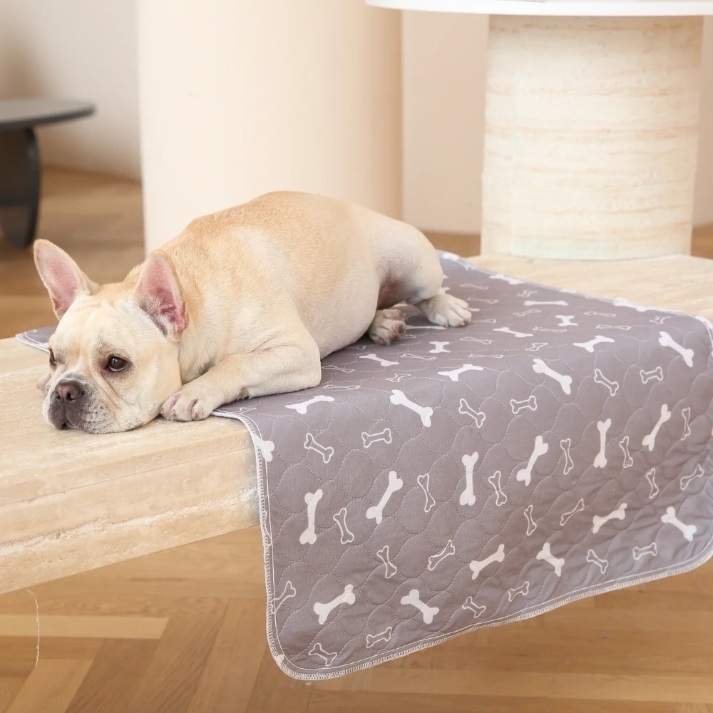 Veluna PuppyPad per Cani