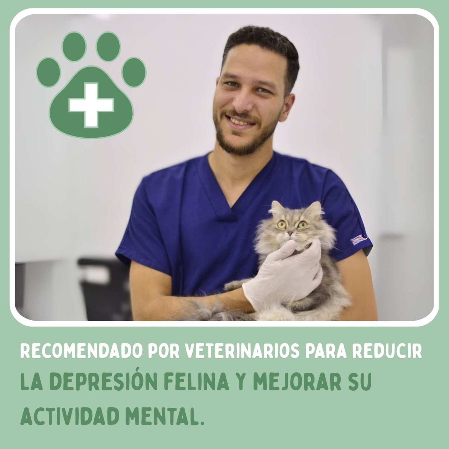 SPIRAGATO – Tiragraffi interattivo per gatti