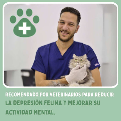 SPIRAGATO – Tiragraffi interattivo per gatti