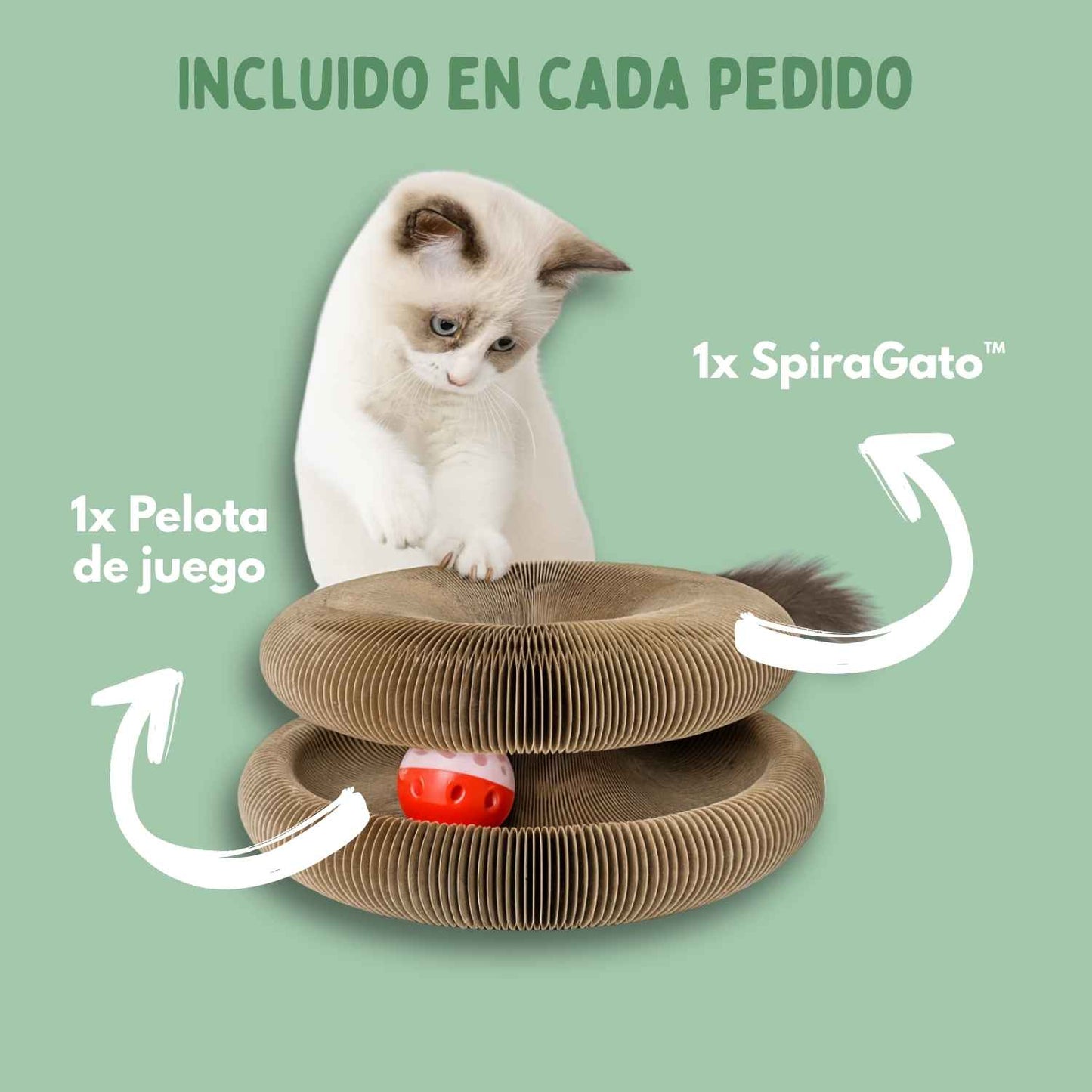 SPIRAGATO – Tiragraffi interattivo per gatti