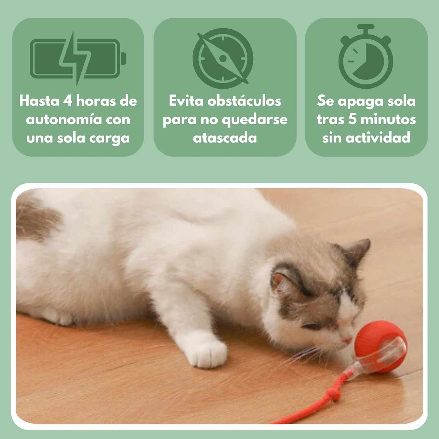 PELOTAVIVA - Palla intelligente per gatti al 100% autonoma