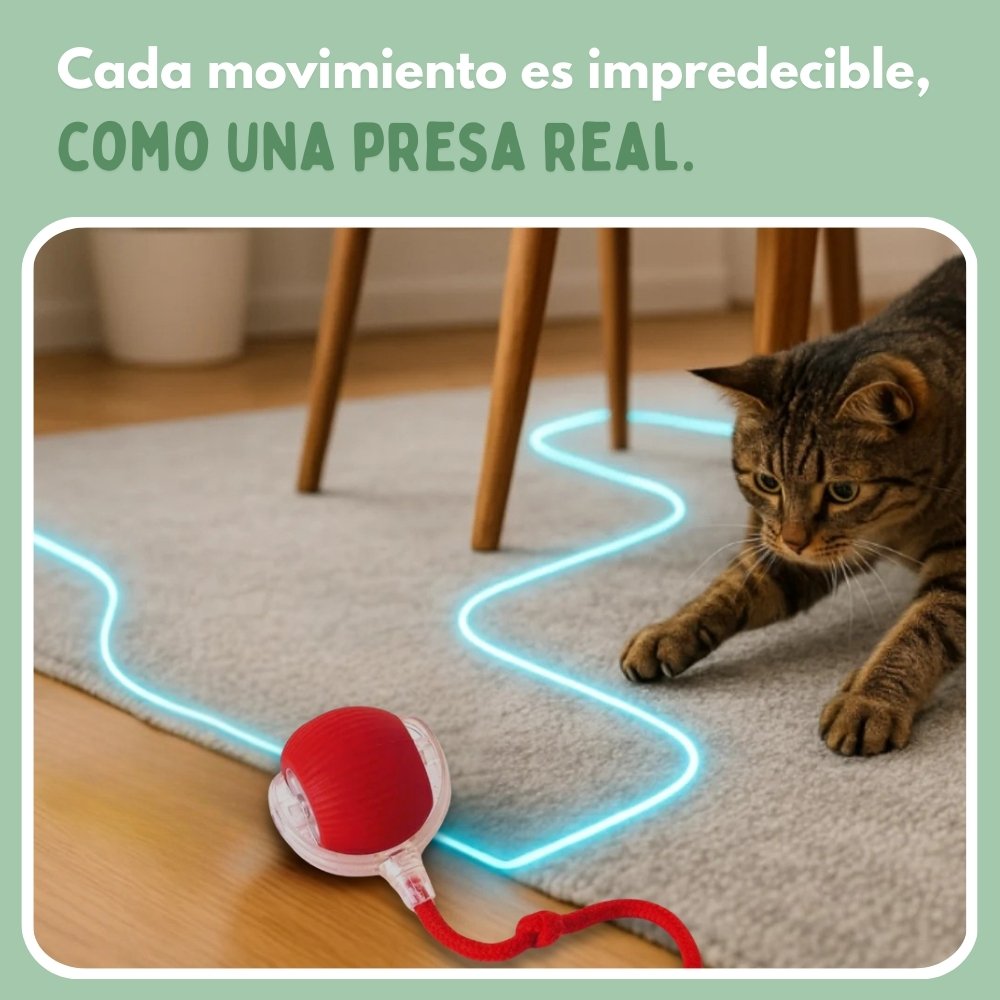 PELOTAVIVA - Palla intelligente per gatti al 100% autonoma