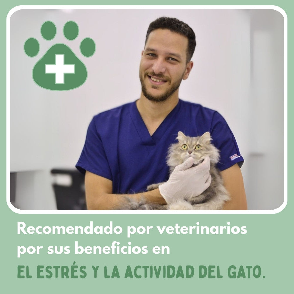 PELOTAVIVA - Palla intelligente per gatti al 100% autonoma