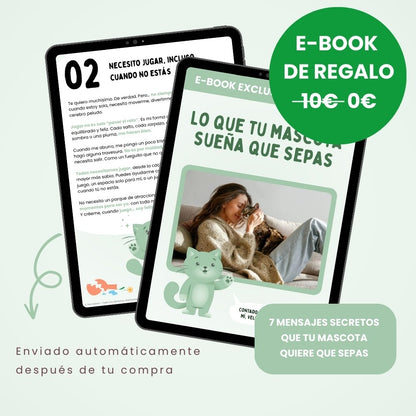 SPIRAGATO – Tiragraffi interattivo per gatti