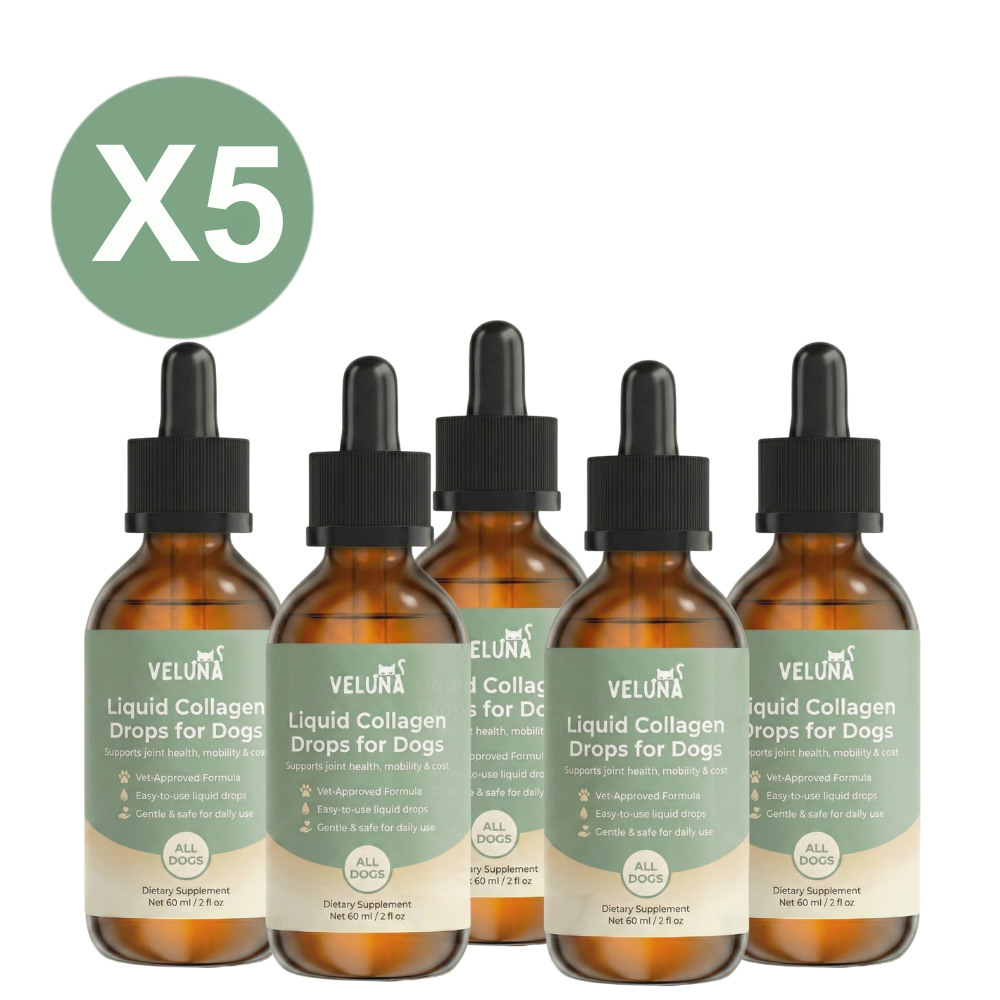 Collagene Liquido Premium Veluna per Cani