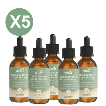 Collagene Liquido Premium Veluna per Cani